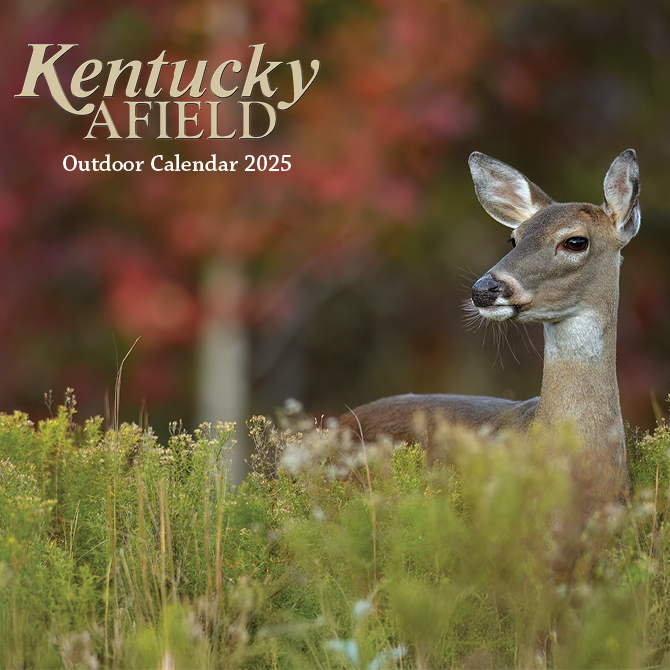 Kentucky Afield Calendar cover